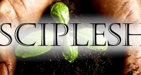 Enrolling New Believers in Discipleship